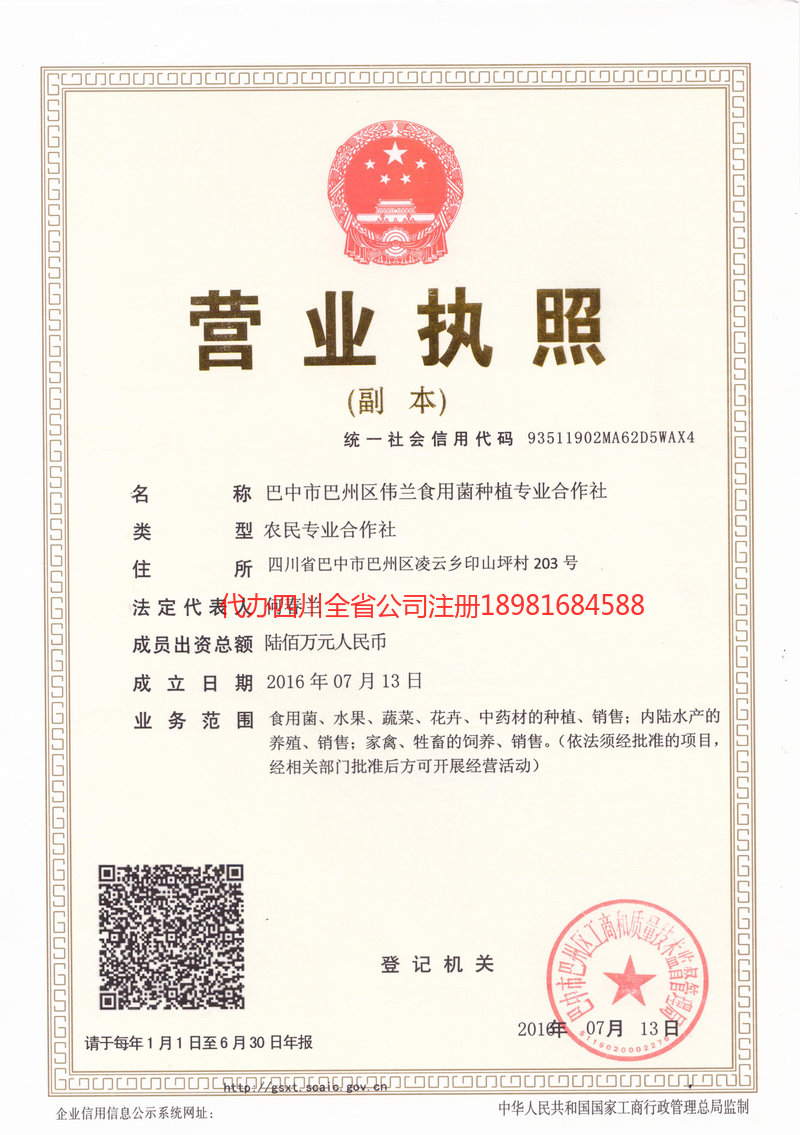 麻城麻城伟兰食用菌种植专业合作社